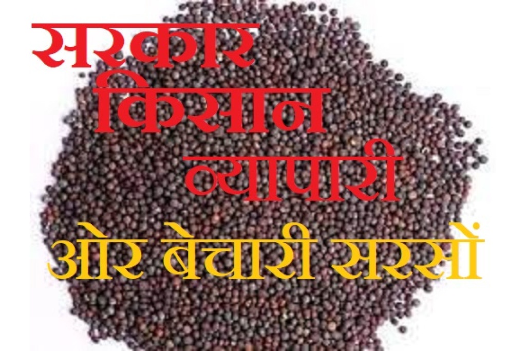 तेल तिलहन अपडेट